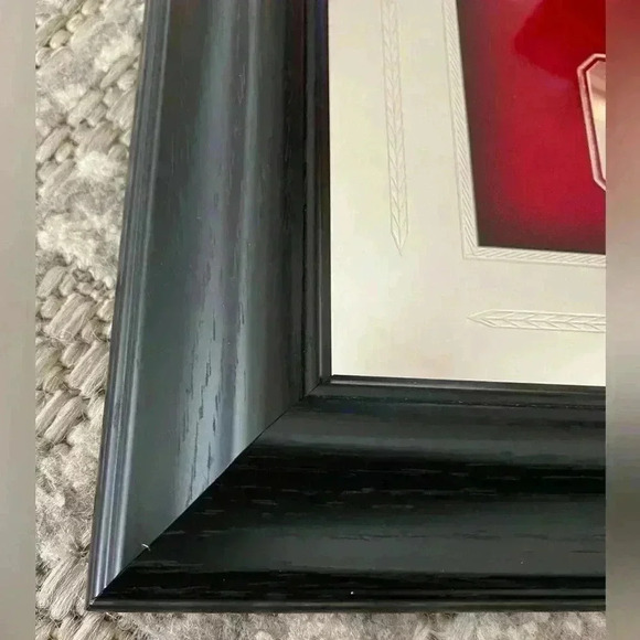 The University of Oklahoma 13.75 x 16.75 Mirrored Seal framed picture - Picture 6 of 7